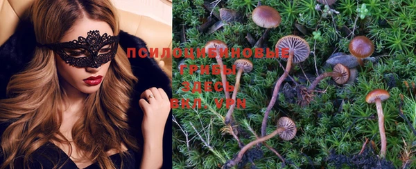 молекула духа Нея